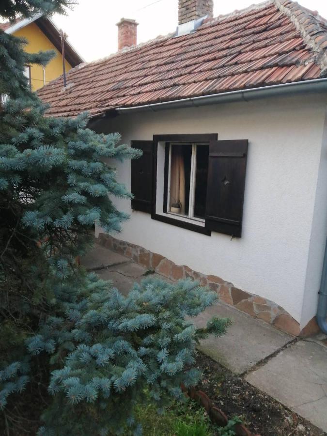 Apartman Nebojsa Rudnik Exterior photo