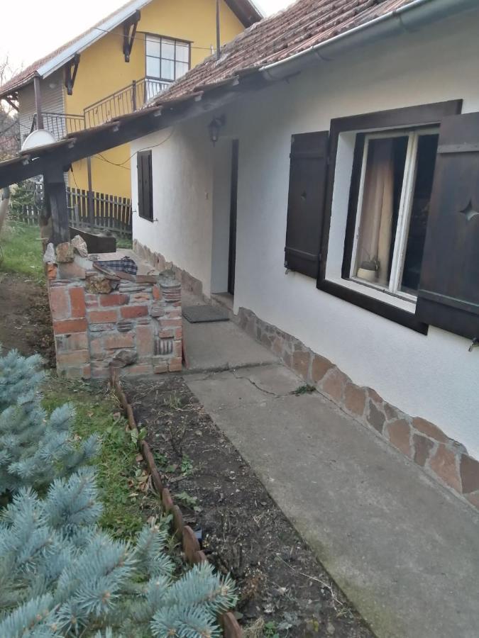 Apartman Nebojsa Rudnik Exterior photo