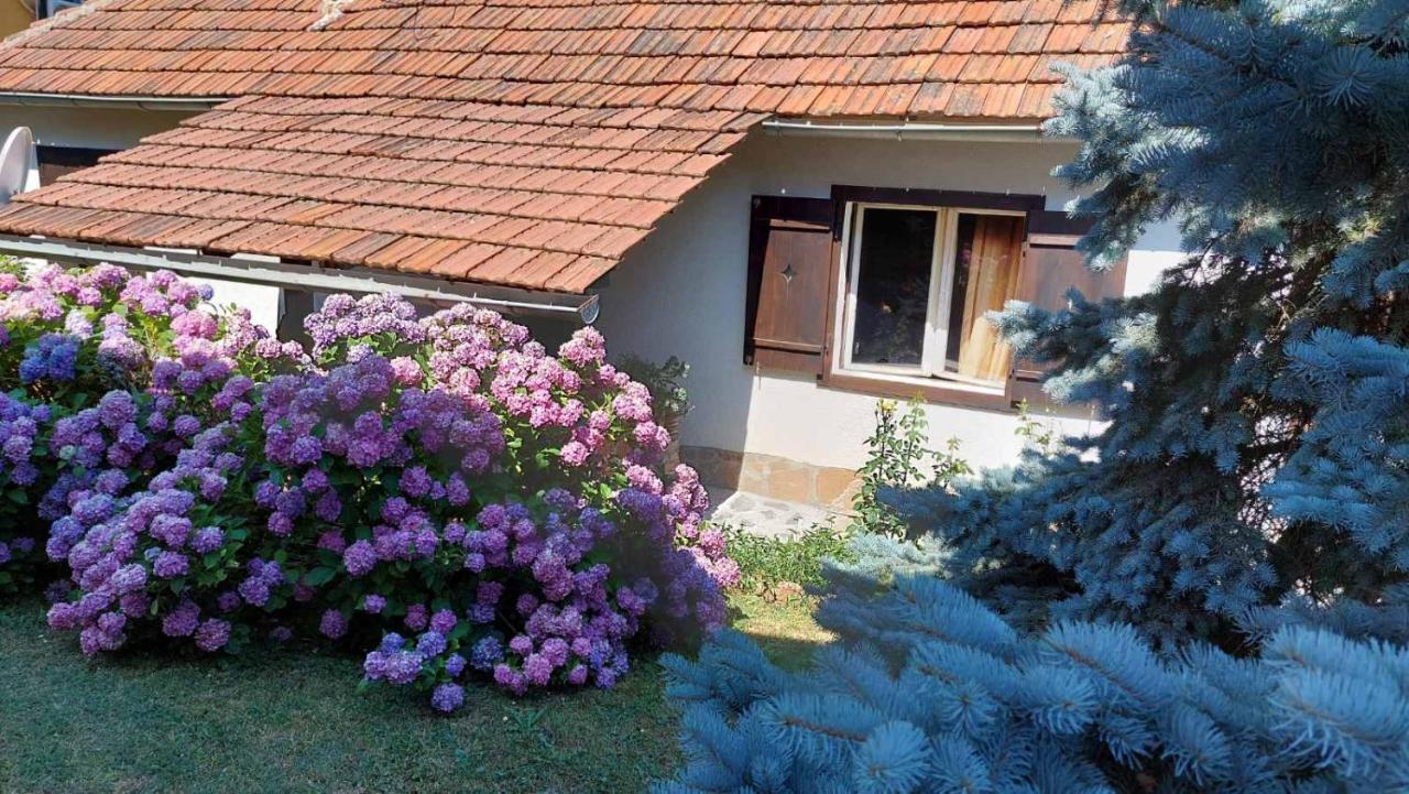 Apartman Nebojsa Rudnik Exterior photo