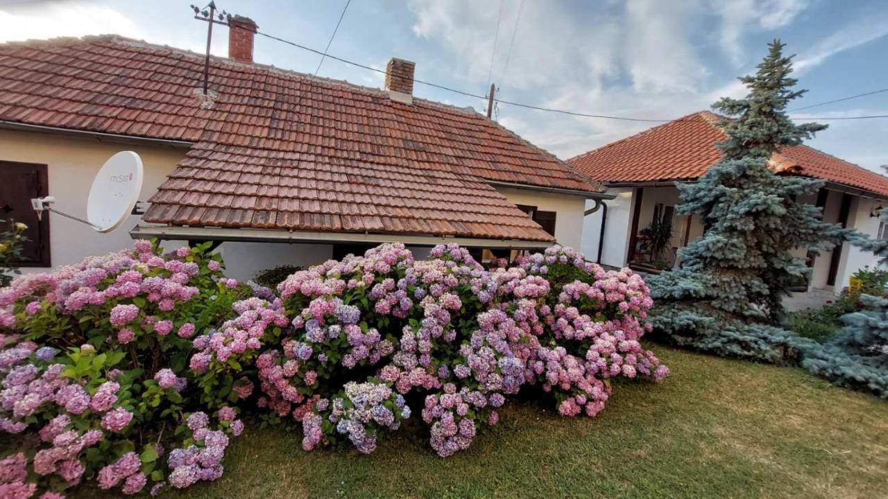 Apartman Nebojsa Rudnik Exterior photo