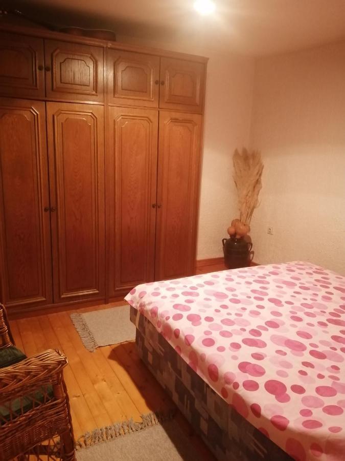 Apartman Nebojsa Rudnik Exterior photo